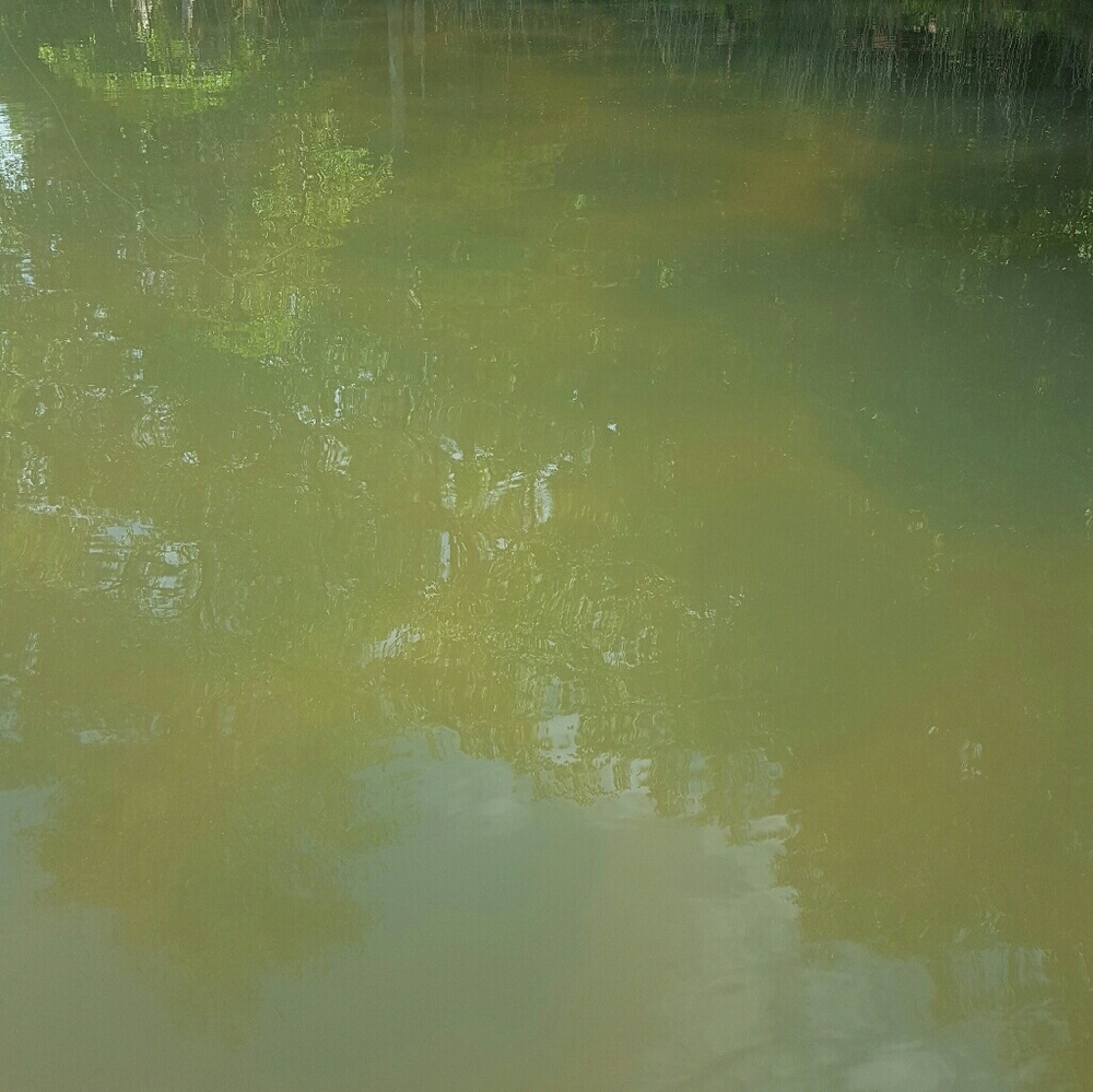 Meet your Posher, Luna